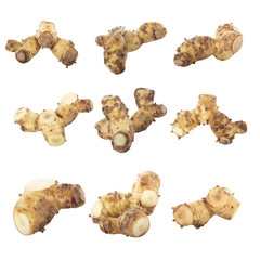 set of fresh galangal root  isolated on white background