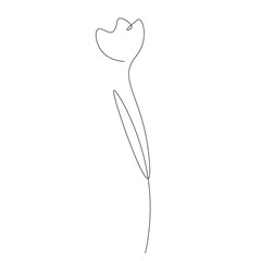 Flowers isolated on white background. Continuous line drawing, vector illustration