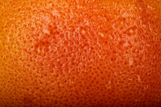 fresh rind f red grapefruit background