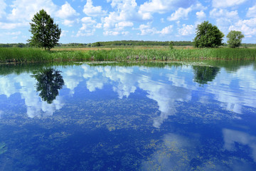 Fototapeta na wymiar Ukrainian river in Kharkiv region near Tymchenky village