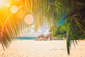 Art Beautiful sunset over the tropical beach vintage toning