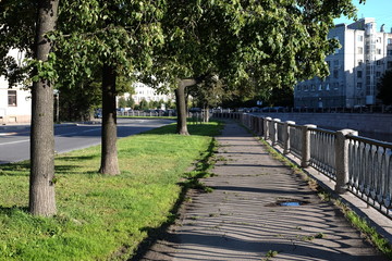 bridge in park