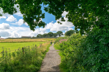 Feldweg in der Landschft mit spektakulärem Himmel