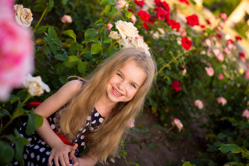 Portrait little girl in roses. Baby walk in the fall sun. Girl blonde in flowers at sunset