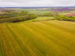 Green fields and meadows