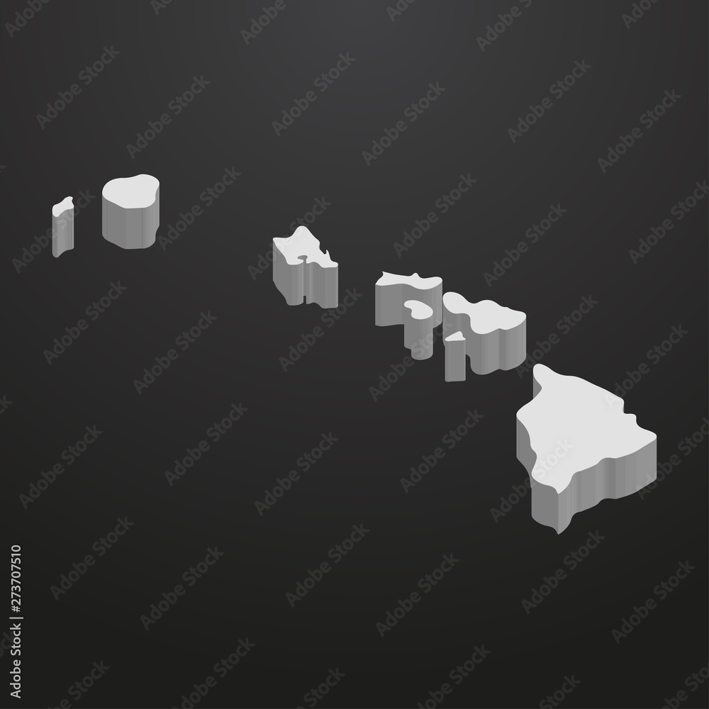 Poster hawaii state map in gray on a black background 3d