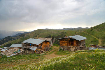 Fototapeta premium beautiful dark blue mountain landscape with fog and forest.artvin/turkey