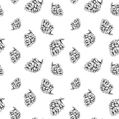 Sketch pinecone pattern. Hand drawn seamless background with sketch style pinecones. Monochrome vector backdrop.
