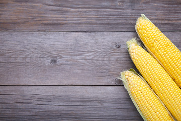 Three fresh corn on a grey wooden background.