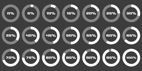Set of circle percentage diagrams for infographics, 0 5 10 15 20 25 30 35 40 45 50 55 60 65 70 75 80 85 90 95 100 percent