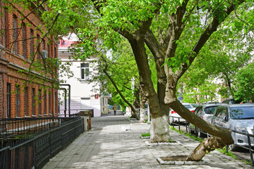 Russia, Vladivostok, Pushkin (Pushkinskaya) street in the spring