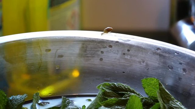 B&eacute;b&eacute;  escargot sur le saladier