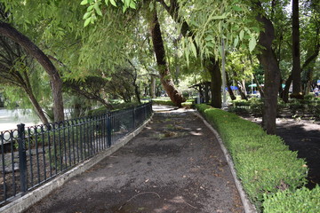 camino 