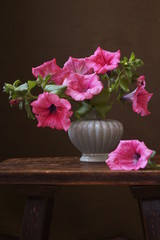 Beautiful background with flower - red petunia