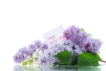 spring blooming bouquet of lilac isolated on white