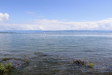 water
