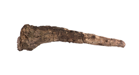 ancient club,wooden cudgel, Truncheon of stone age on a white background