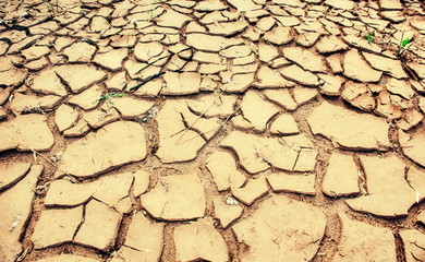 shell of earth cracked dried bark sand clay without water background