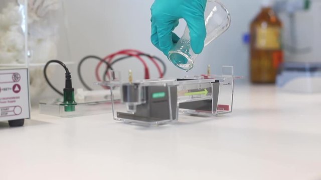 Gelelektrophorese Gel gie&szlig;en