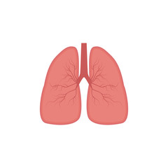 Lungs icon, flat style. Internal organs of the human design element, logo. Anatomy, medicine concept. Healthcare. Isolated on white background