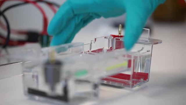 Gelelektrophorese Labor Experimente Wissenschaft