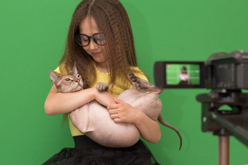 little girl makes a blog, a child plays with a cat