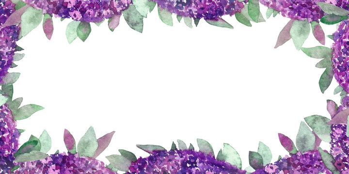 Watercolor hand painted summer nature border frame with purple flowers and  green leaves and branches for invitations and greeting cards for text.  Stock Illustration | Adobe Stock