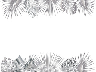 Fototapeta na wymiar Vector tropical jungle frame with silver palm trees and leaves on white background