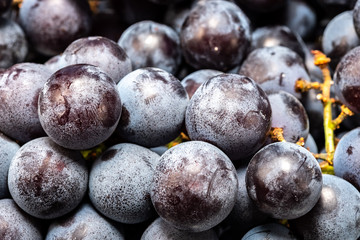 bunch of black ripe grapes on a white plate