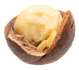 macadamia nut isolated on a white background