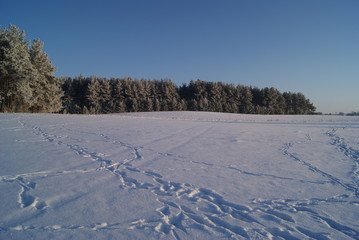 Polska zima