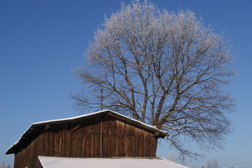 zimowa pora gdzies na wsi © Mariusz