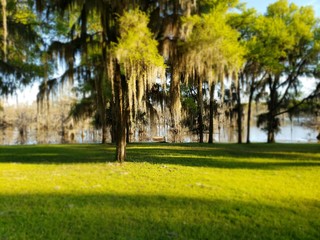 Southern Vacation