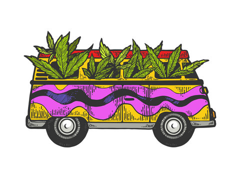 Minibus van with weed cannabis leaf color sketch engraving vector illustration. Scratch board style imitation. Black and white hand drawn image.