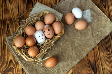 Brown and white eggs close-up