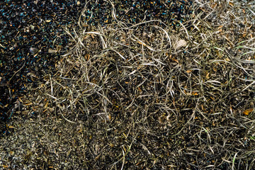 Metal shavings background. Long and short colored steel shavings after temperature exposure from a cutting tool.