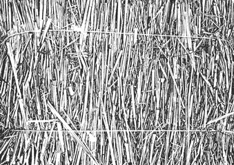 Distress haystack texture. Black and white grunge background. Vector illustration with grass