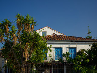 Old colonial style house with palm tree
