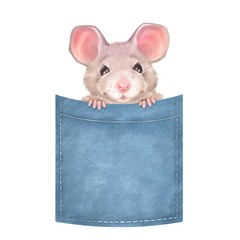 Cute mouse on pocket. Isolated on white background