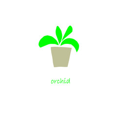 Orchid plant in pot icon set flat design object isolated stock vector illustration for web, for printaworthia plant in pot icon set flat design object isolated stock vector illustration for web, for p