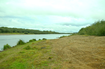 Summer landscape, pond and forest on the horizon.