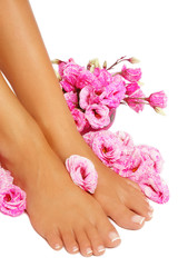 Woman's feet with french pedicure and pink flowers over white background