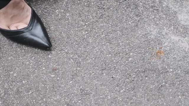 girl tramples cigarettes on asphalt, stop smoking, quit smoking