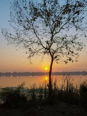Obraz premium Silhouette a tree branches with lake view and sunrise background, sunrise at Krajub Lake, Ban Pong, Ratchaburi, Thailand.