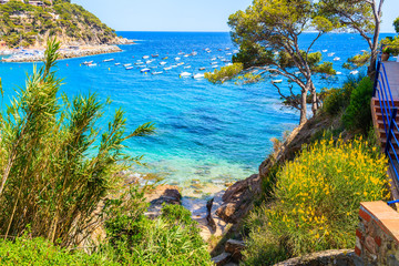 Fototapeta premium Green coast and sea in Llafranc village, Costa Brava, Spain