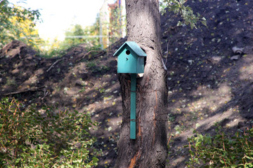 tree nesting box for text