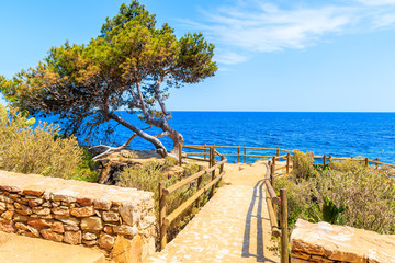 Fototapeta na wymiar Viewpoint on coastal path from Palafrugell to Llafranc on beautiful summer day, Costa Brava, Spain