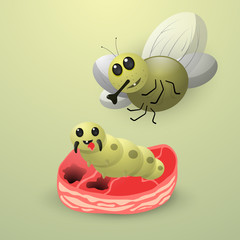 A funny fly larva (grub) eats a piece of meat. Above the character flies adult fly. Vector illustration.