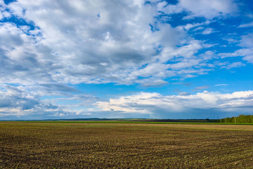 Beautiful landscape with green field and large white clouds.