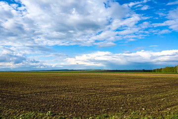 Beautiful landscape with green field and large white clouds.
